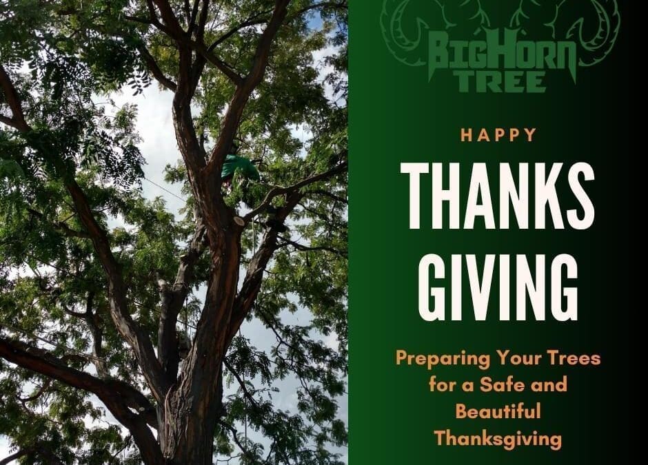 Thanksgiving Tree Care: Ensuring a Safe and Beautiful Holiday with Big Horn Tree Service