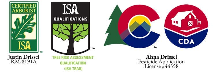 Tree Services - Grand Junction CO