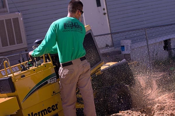 Stump Removal Stump Removal