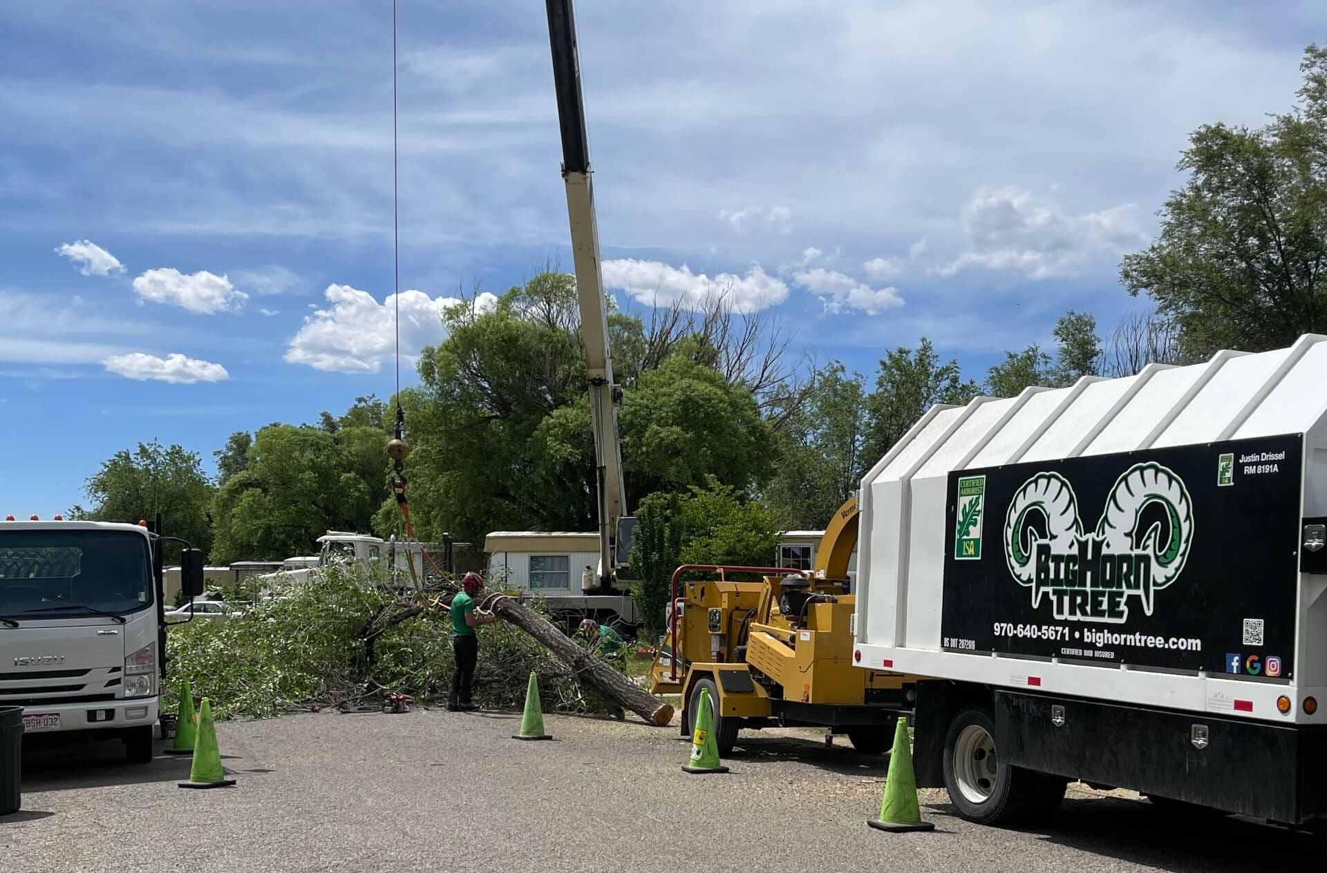 Tree Removal Grand Junction